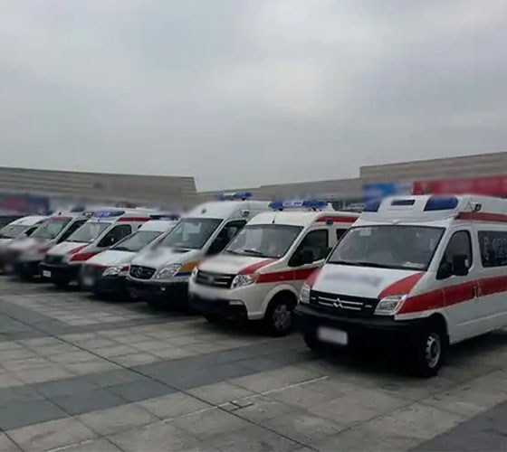 额尔古纳市服务车队展示